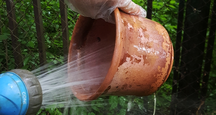 Planter Cleaning