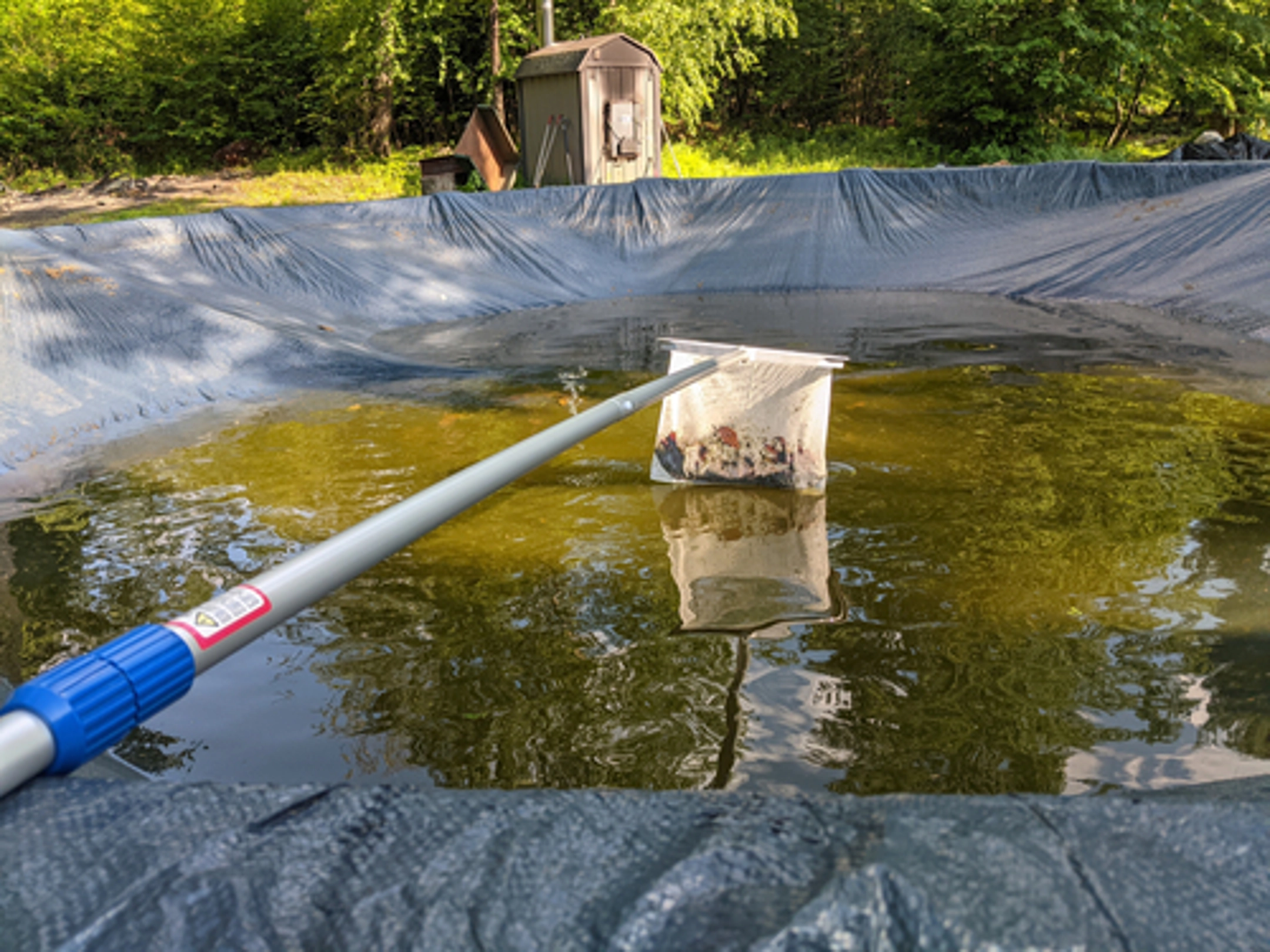 Pool Cover Cleaning