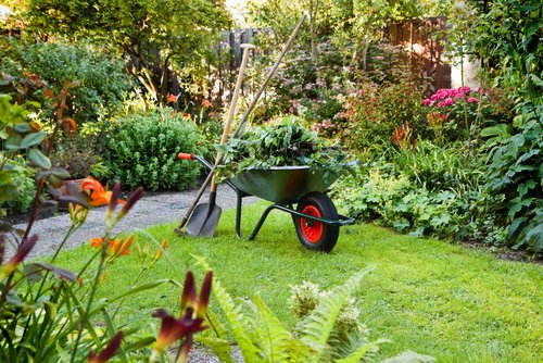 Garden Structure Cleaning