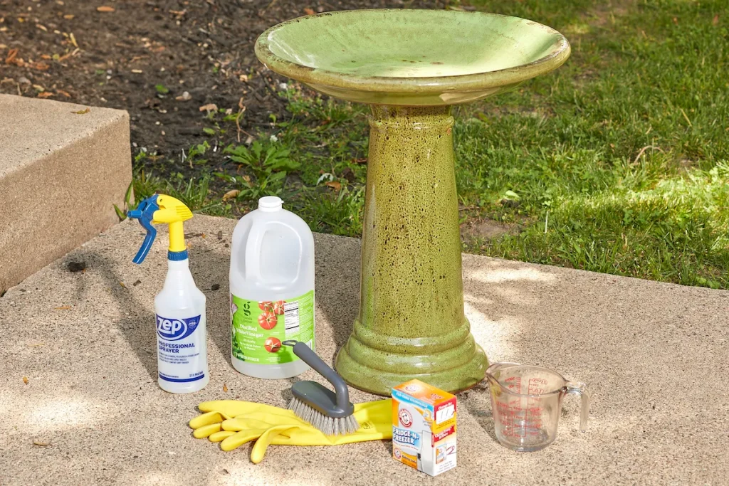 Bird Bath Cleaning