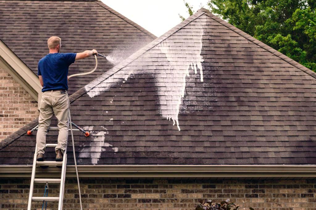 Asphalt Shingle Cleaning